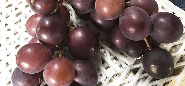 葡萄の美容・健康効果